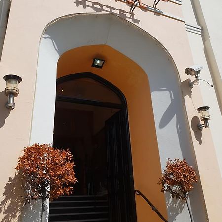 Sherwood Palm Hotel Torquay Εξωτερικό φωτογραφία