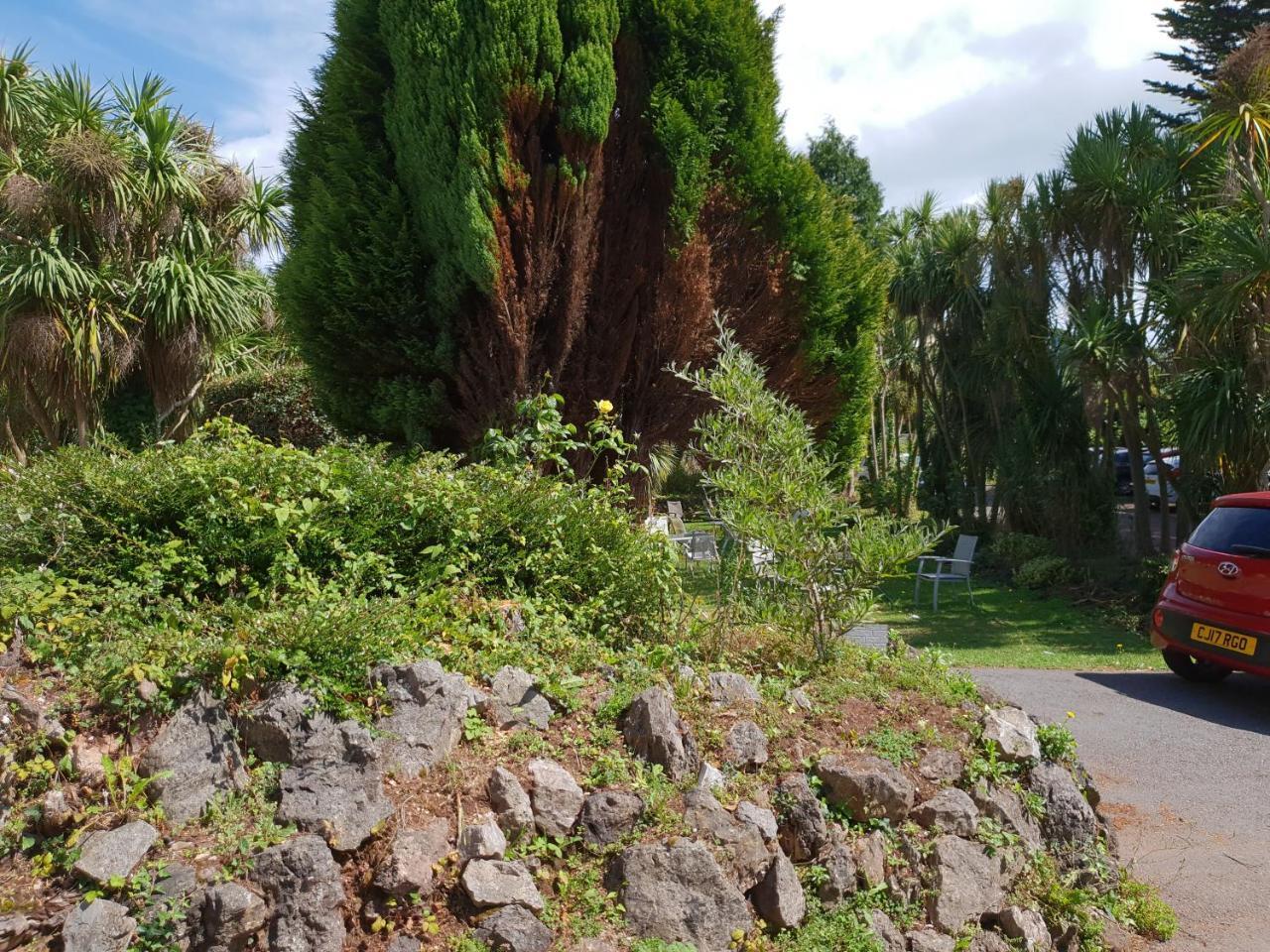 Sherwood Palm Hotel Torquay Εξωτερικό φωτογραφία